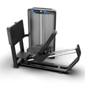 Seated Leg Press Next Movement