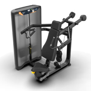 Shoulder Press Next Movement