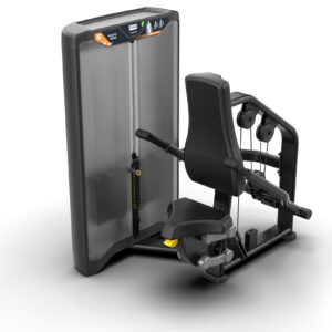 Triceps Press Next Movement