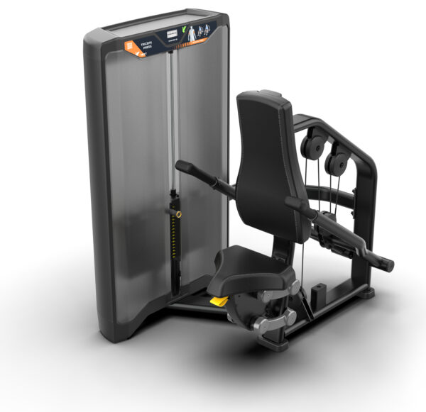 Triceps Press Next Movement