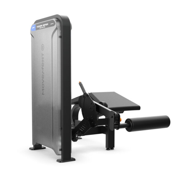 Seated Leg Curl New Idea Movement