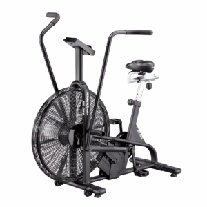 Assault Bike Classic